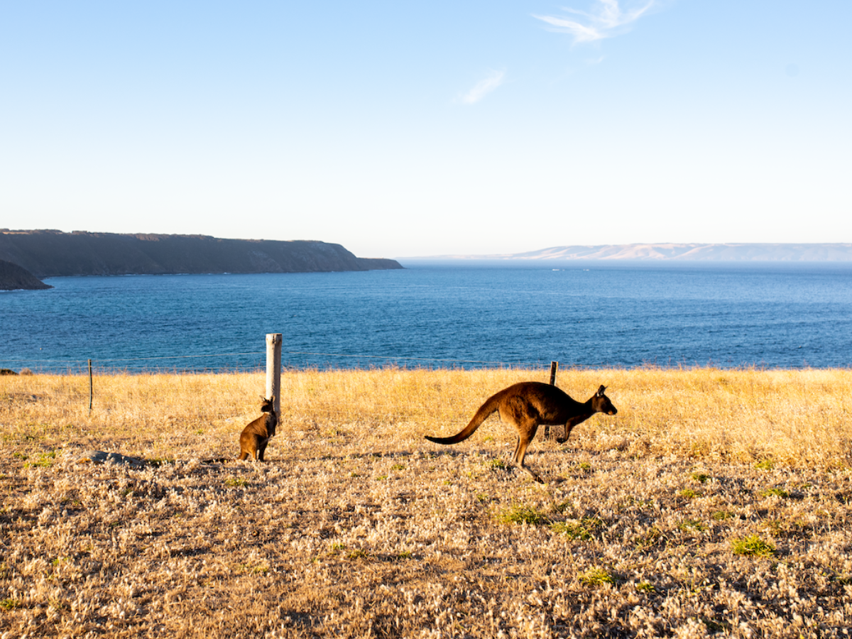 Self Guided Walks Kangaroo Island