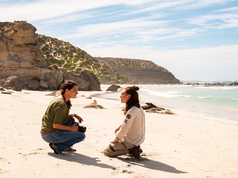 Location Seal bay Conservation Park Kangaroo Island Sea Dragon Lodge Accommodation Nature Walks Tours credit Tourism Australia 261292 (1)