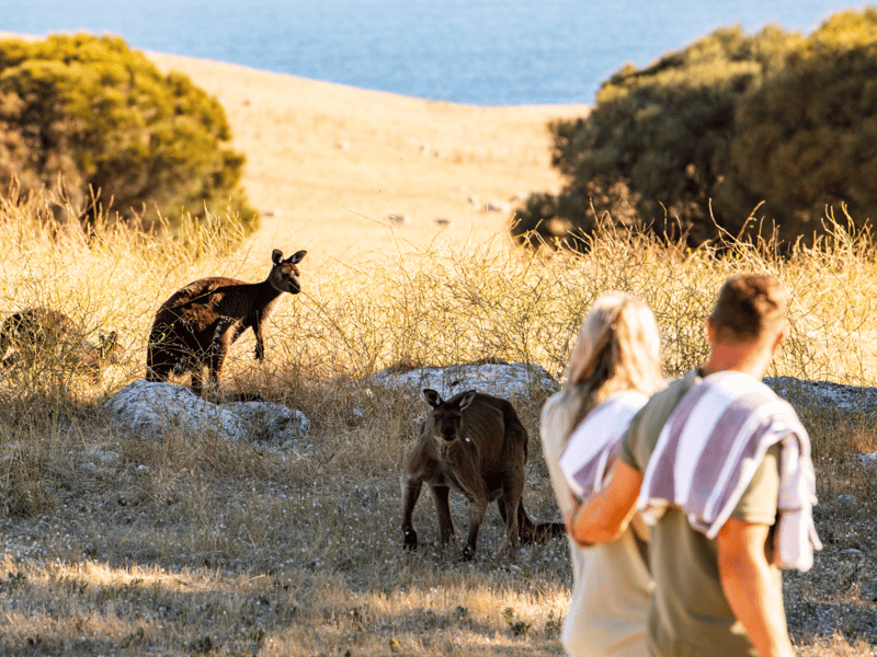 Experience On Site Kangaroo Island Garden